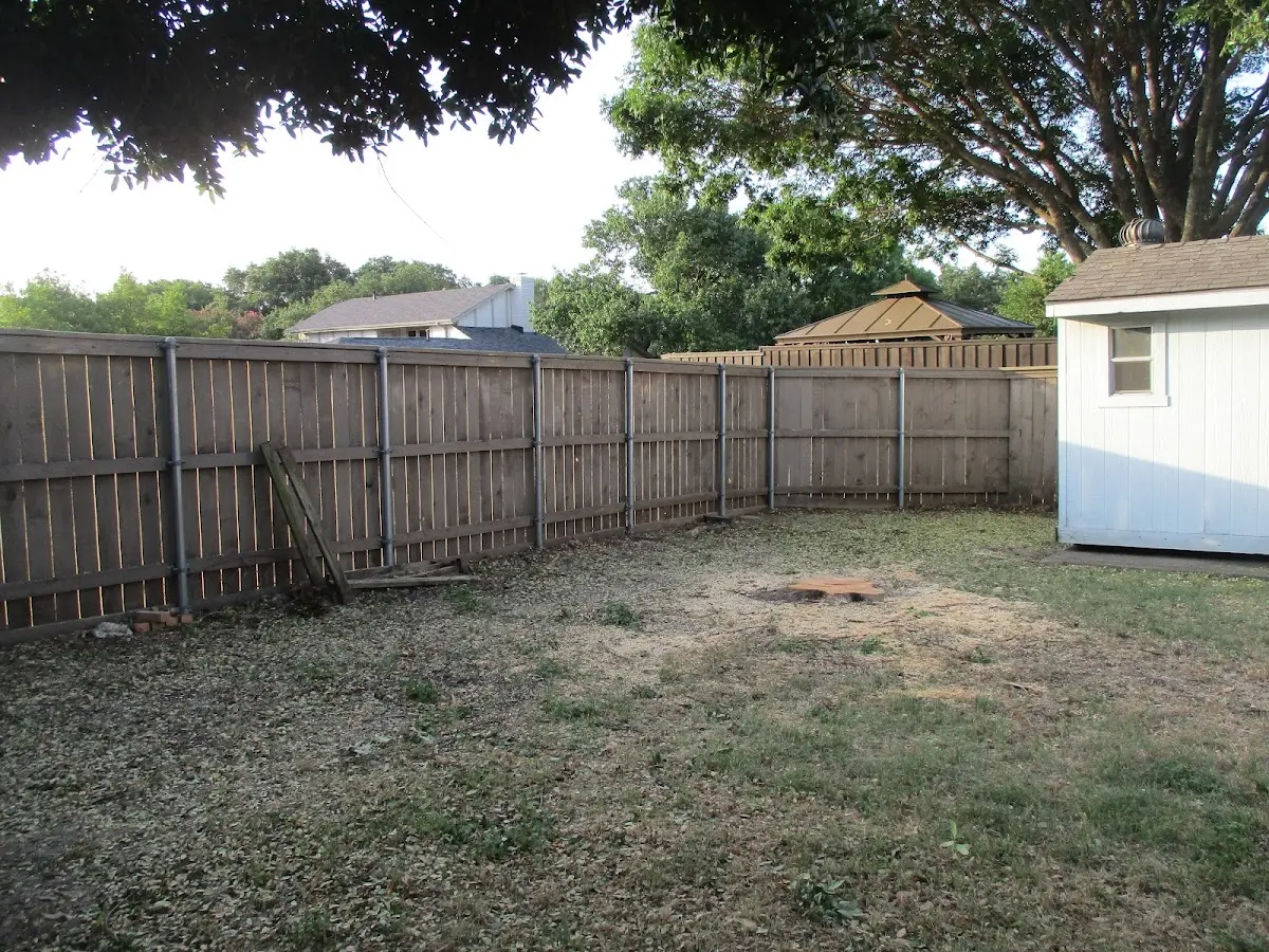 Cleared yard after professional tree removal in Columbiana
