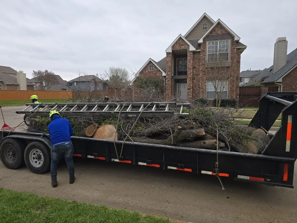 Expert Crown Reduction with proper safety equipment in Columbiana